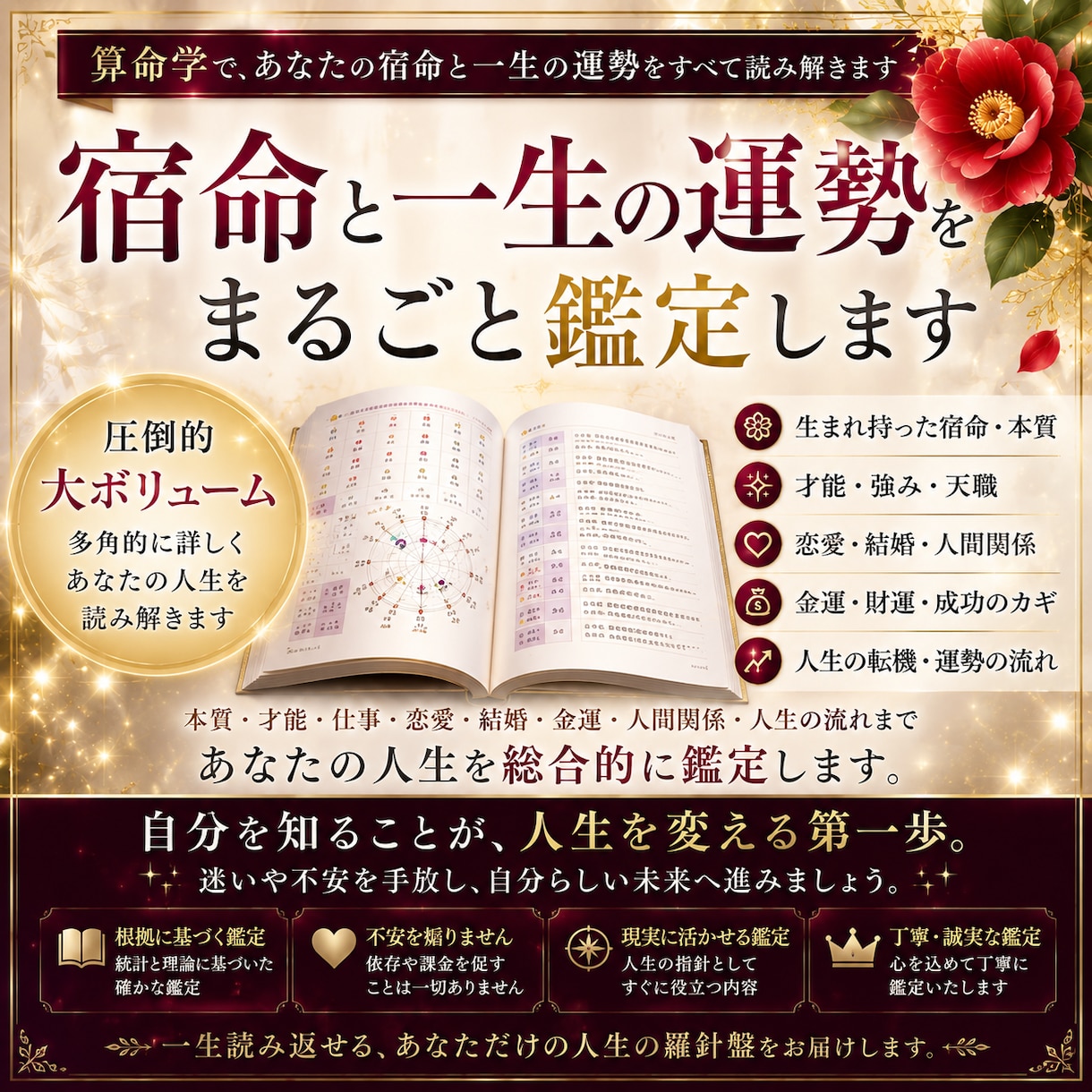 貴方様の人生は生まれた瞬間から「設計図」があります あなたの人生を読み解く、世界にひとつの取扱説明書を作りします イメージ1
