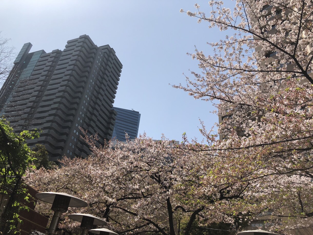 19卒の就活相談、ES添削を行います 早期就活、大手を目指す理系就活生の貴方に。 イメージ1