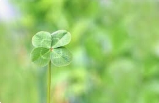 望む未来になり人生を幸せな方向へカードで導きます 丁寧にお伝えします。信じて実行する事で運命は変えられます❣️ イメージ3