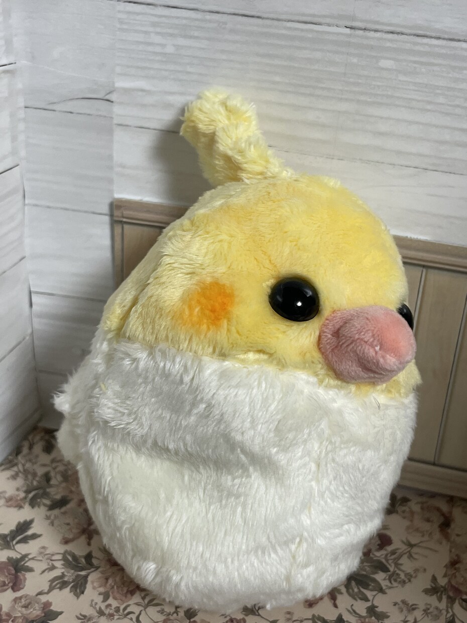 小鳥さん制作します ご依頼後制作開始しますよろしくお願い致します イメージ5