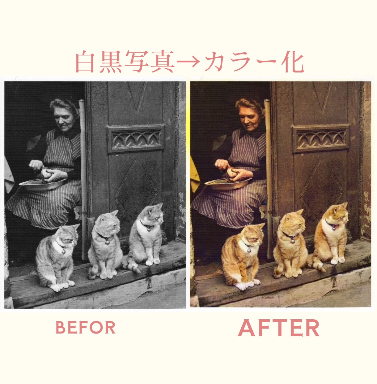 人物やペット写真をキレイに補正します 明るく・キレイに、大切な一枚を蘇らせます！！ イメージ8