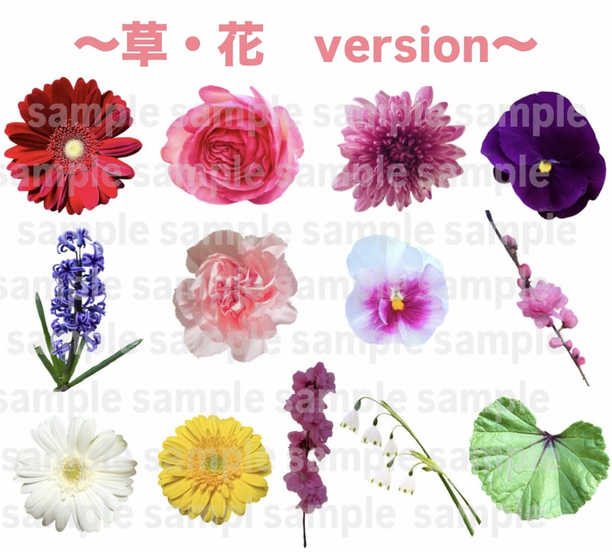 可愛いペットをLINEメッセージスタンプにします 可愛いペット写真を個性的なLINEメッセージスタンプにします イメージ5