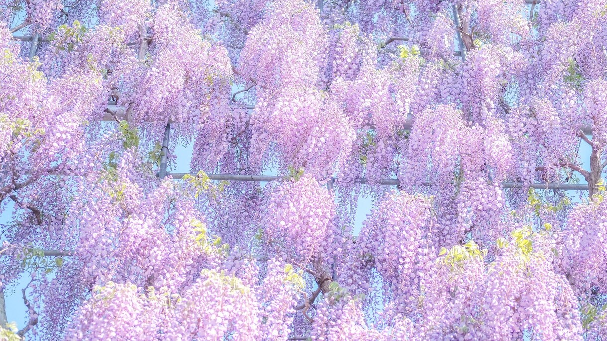 ちょっと話したい、ひと息付きたい方に応えます 思うままに自由にお話してね〜(^^) イメージ5