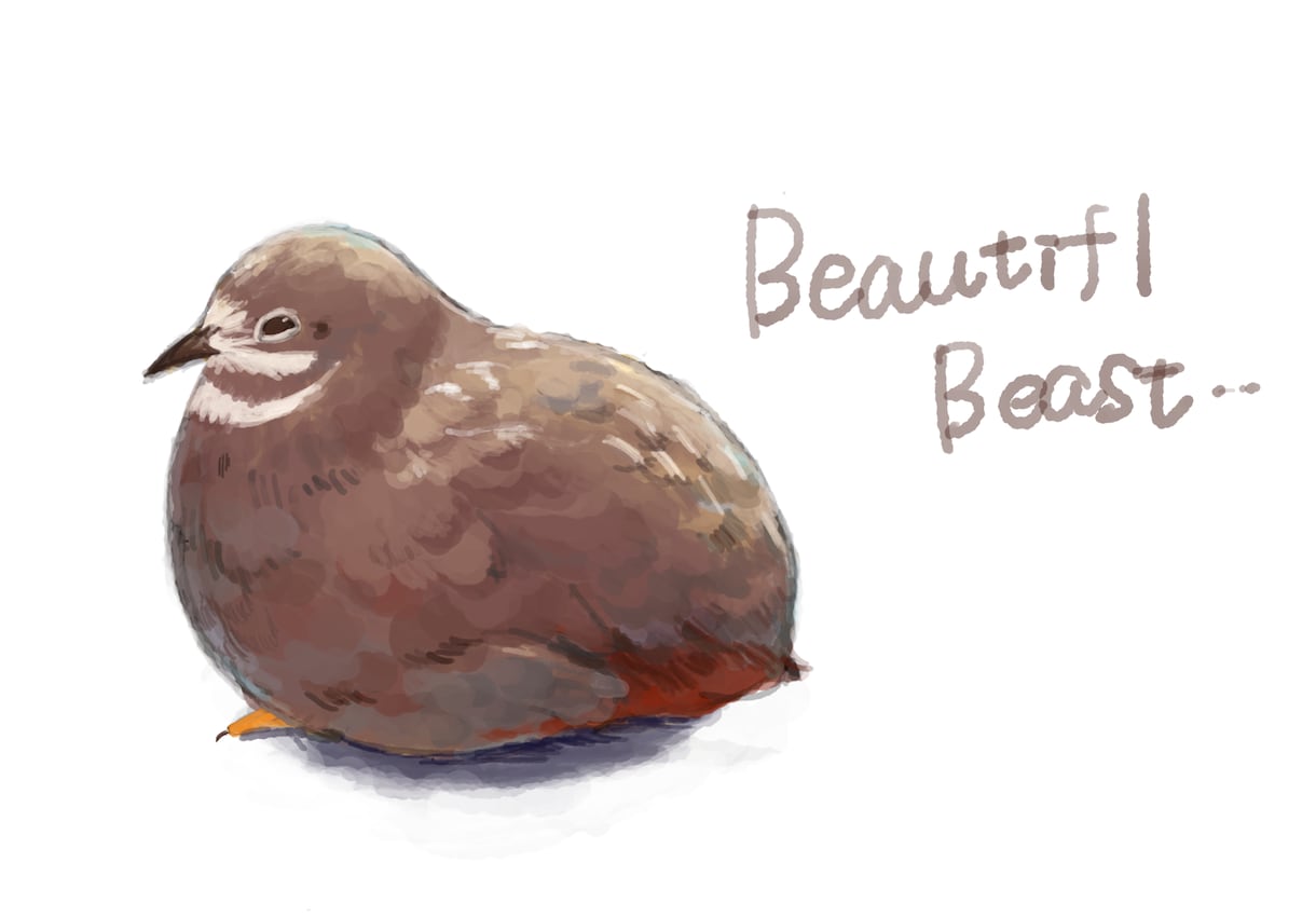 ペットの小鳥のイラスト描きます 愛鳥の似顔絵描きます！ふわふわの毛質にこだわりアリ！ イメージ1