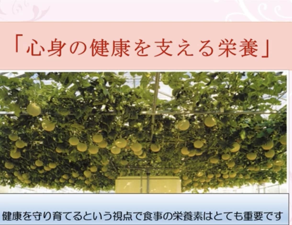 心身の健康食養生，健康をご指導します 心身のHealth Concierge：細胞環境を整えよう イメージ1