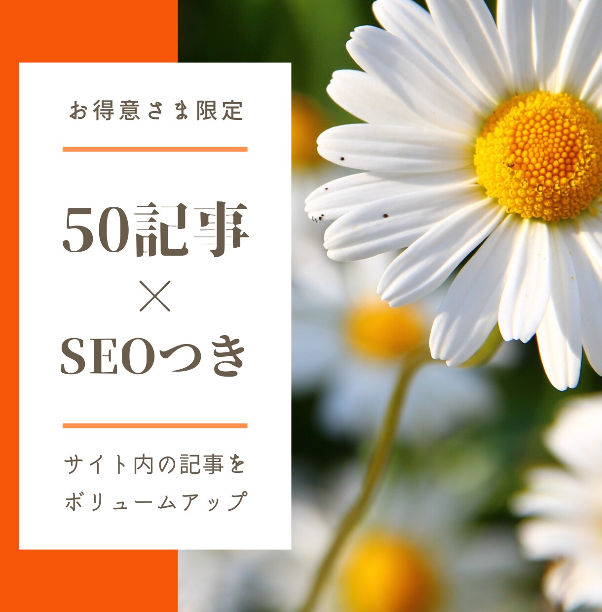 お得意様へ＊50本パックでSEO記事を作成します 【新設サイト向け】特定ジャンルの記事が大量に必要な運営者様へ イメージ1