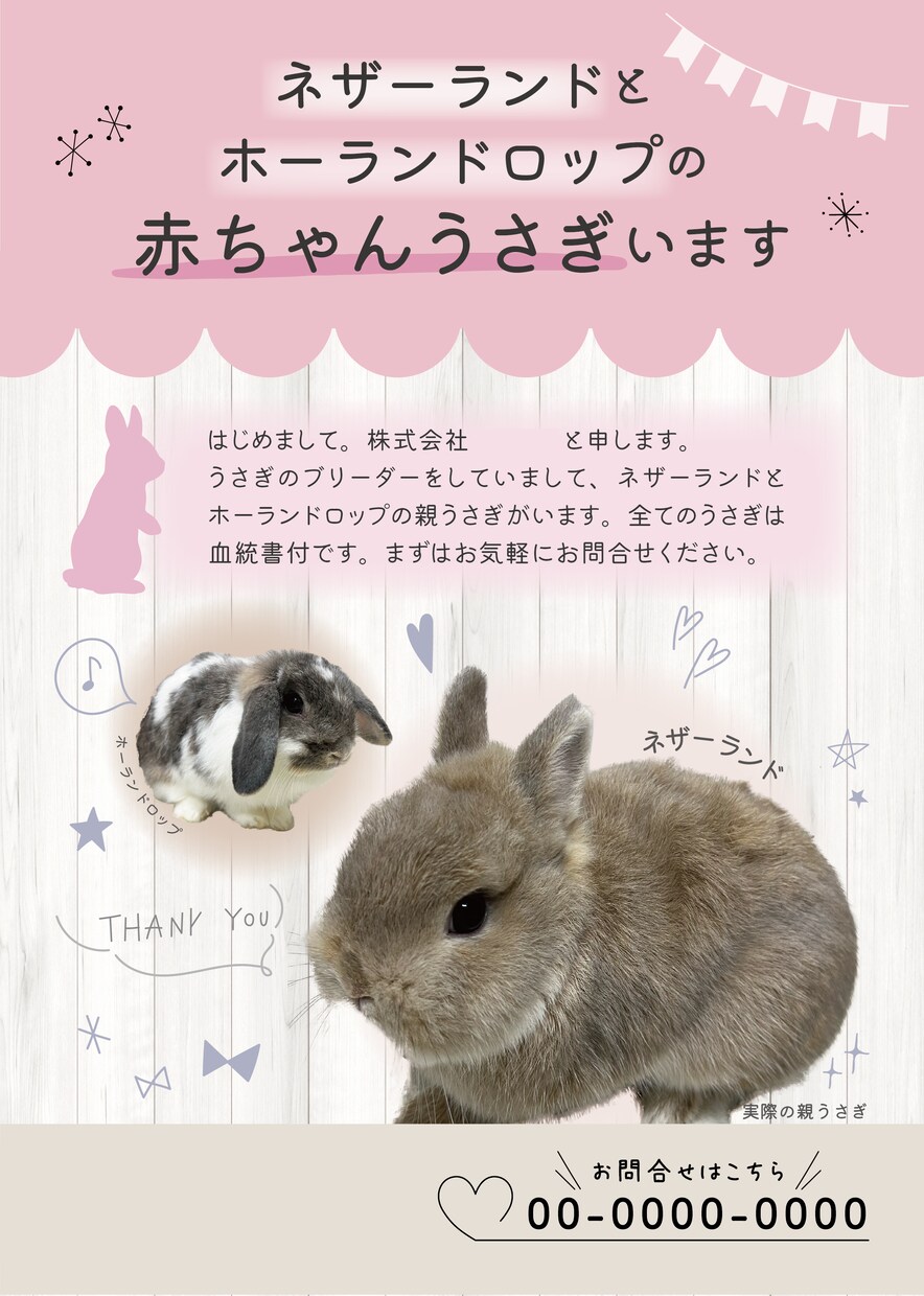 女性目線で心ときめくチラシを作成いたします 大人可愛い心惹かれるデザイン♡ひとつひとつ丁寧に イメージ5