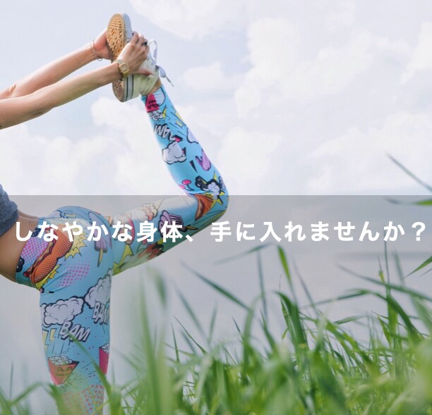 強く、しなやかな身体に向けてトレーニングします 可動域を広げ、柔軟性アップ、体幹強化、パフォーマンス向上 イメージ1
