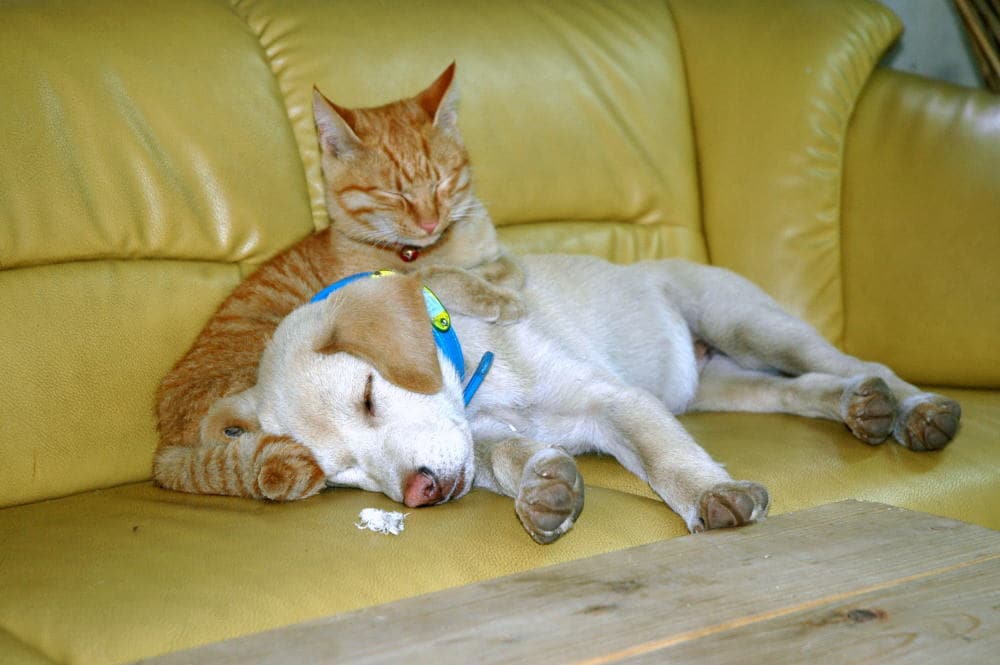 不登校 引きこもりなどのお話を聞きます 吐き出してみませんか？悩み苦しんでいることを イメージ1