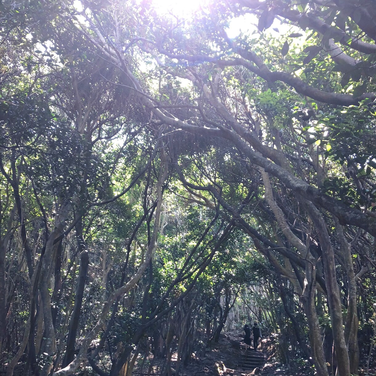 あなたの心に寄り添います 辛い気持ちでいっぱいな時　そうじゃなくても　いつでもどうぞ イメージ4