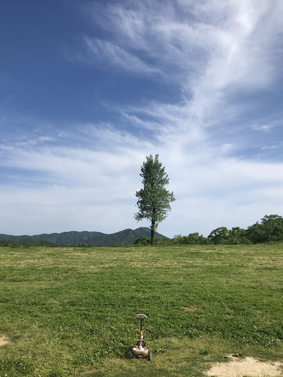 あなたのための、お店や会社の名前をお付けします 起業、開業、SNSなど、運気の上がる画数をお伝えします。 イメージ2