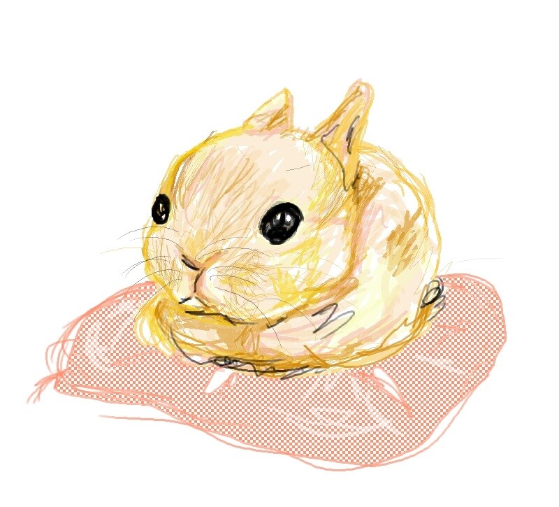 ペットの水彩画風の似顔絵書きます ご要望はお気軽にご相談ください♪ イメージ3