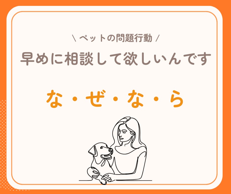 犬の問題行動を行動専門獣医師が徹底サポートします 吠え・噛み・分離不安…|自力で解決できないと感じた飼い主様へ イメージ3