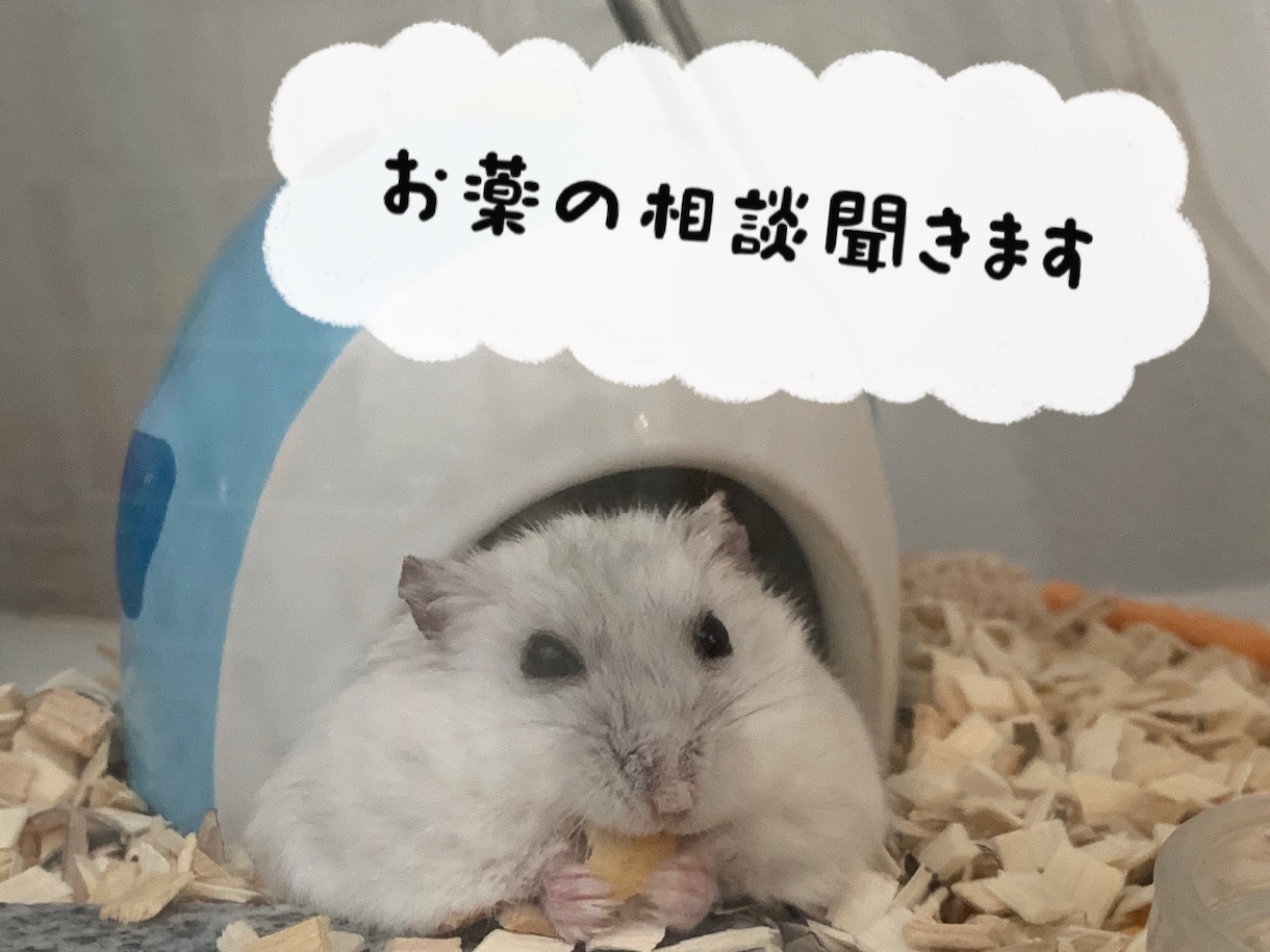 お薬の相談聞きます あなたの悩んでいるお薬の事について、ぜひ聞かせて下さい！ イメージ1