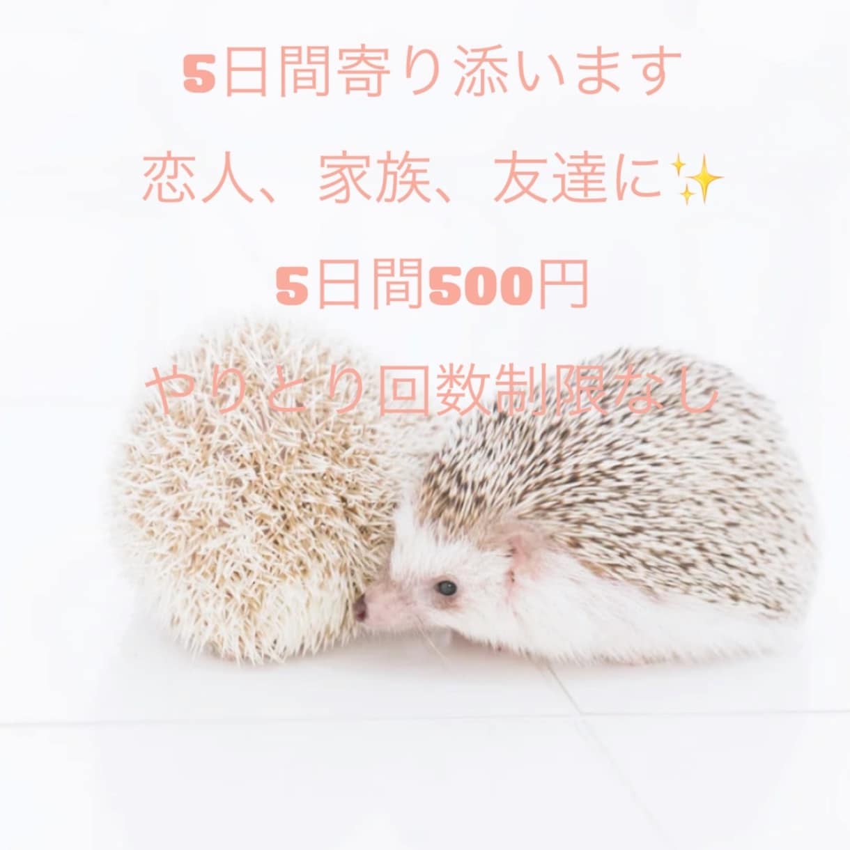 ワンコインで5日間、お話し聞きます ご要望に応じて、家族、友達、恋人にも(*´꒳`*) イメージ1
