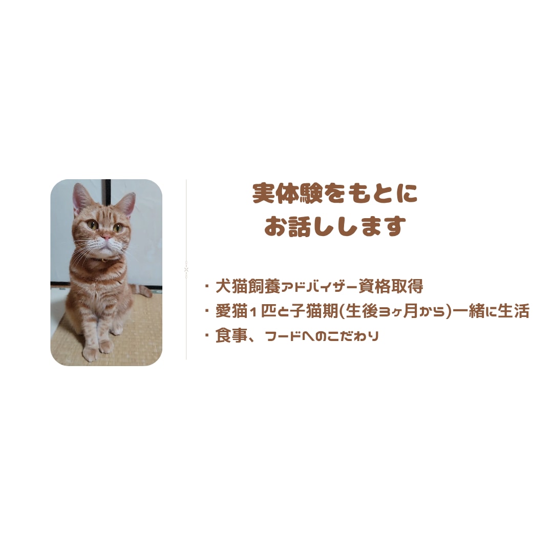 猫 専門 ペットを迎える前の相談承ります 終生飼養の視点で、犬猫飼養アドバイザーが一緒に整理します イメージ5