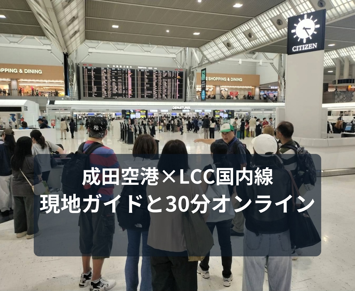 成田空港とLCC国内線の使い方を教えます 出発前・到着後・飛ばない日まで現地ガイドが30分解説 イメージ1