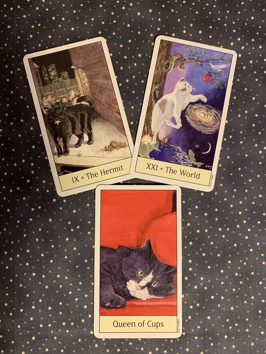うちのねこから今あなたに必要なメッセージを届けます 宇宙からねこカードを通して降りてくるメッセージ イメージ2