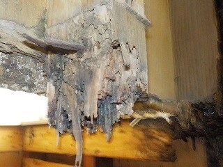 現役職人がシロアリ・床下工事の見積もりを鑑定します 不要な高額工事を見抜く！現場目線の安心セカンドオピニオン イメージ10