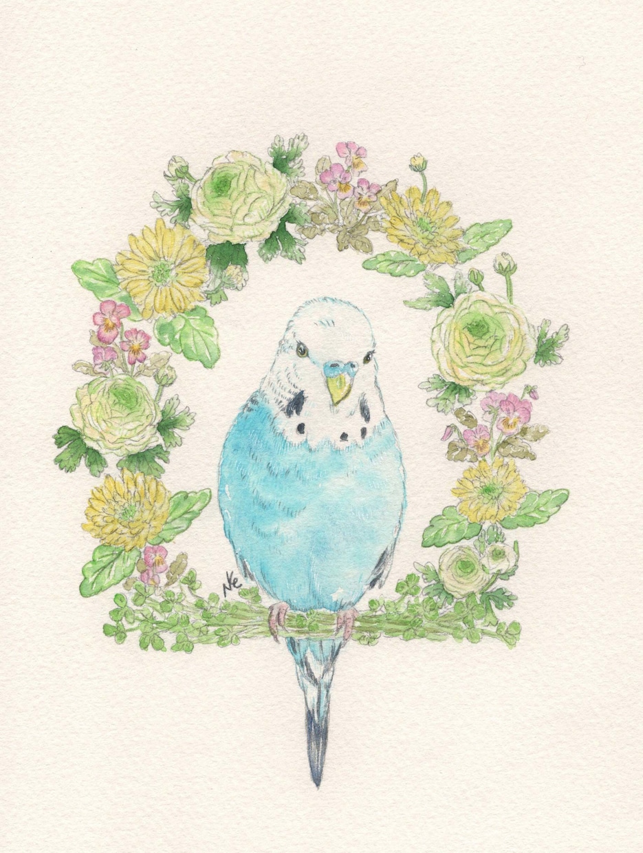 温かく、柔らかい雰囲気で、動物を描きます 透明水彩絵の具を使用して、繊細で写実的に描きます。 イメージ3