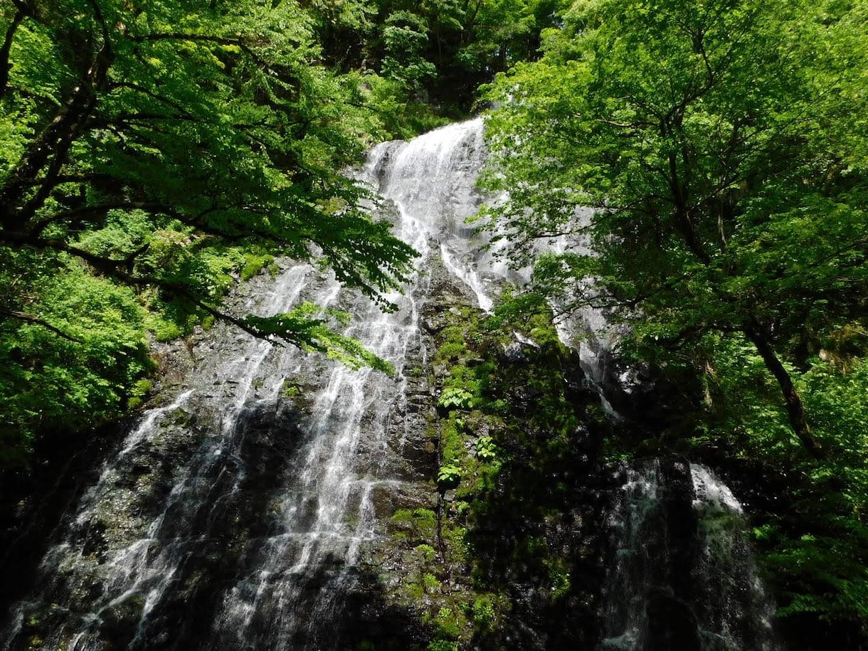 お仕事、恋愛、お相手の気持ちなど占います タロット、オラクル、透視、霊視など様々なことを駆使しての占い イメージ1