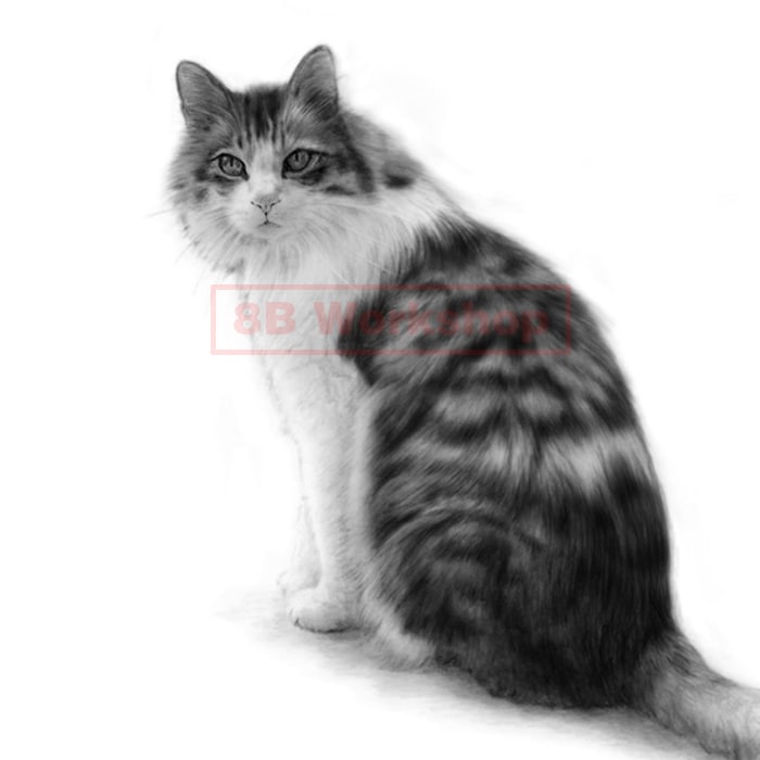 愛犬、愛猫を精細な鉛筆画で再現いたします 実務30年以上プロのイラストレーターが描きあげます イメージ1