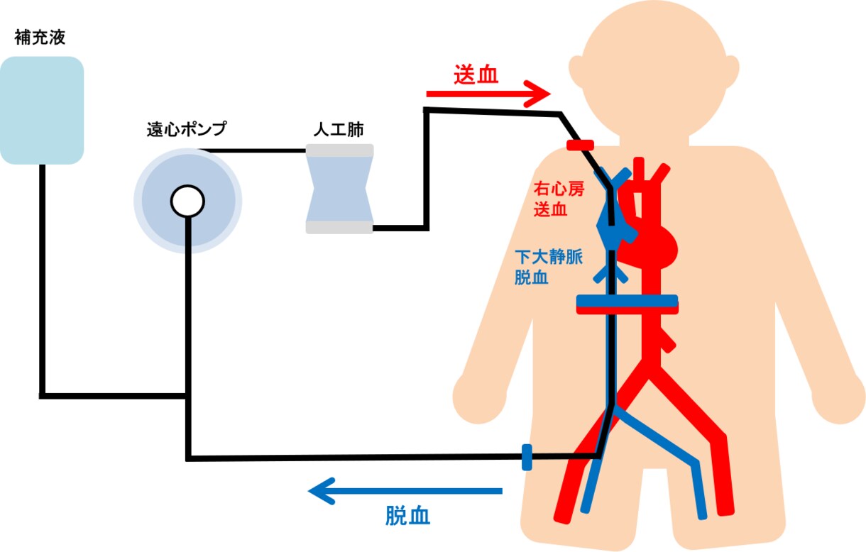 医療系のイラストをPowerPonitで作成します 勉強会やセミナー等で使用下さい イメージ6