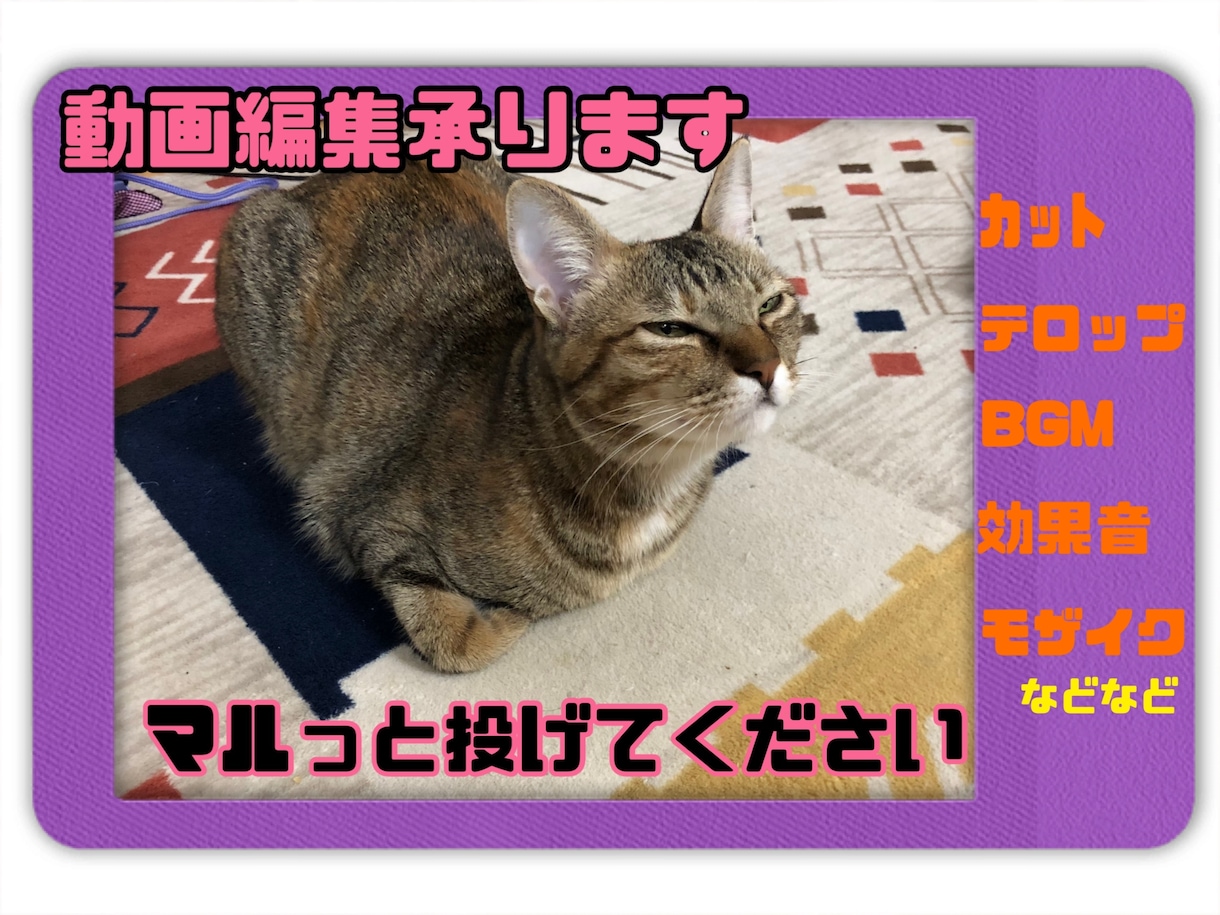 YouTubeなどの動画編集します 丸投げオッケーです^ ^安価でいい動画を✨ イメージ1