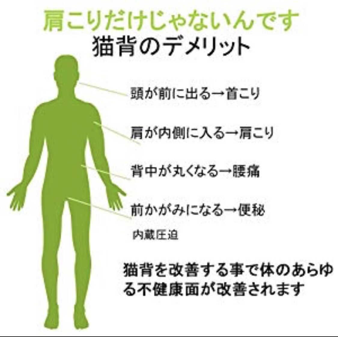 営業や接客の方必見！姿勢改善で第一印象を良くします 腰痛でお困りの方に骨盤矯正行ってきたプロ鍼灸師が教えます。 イメージ5