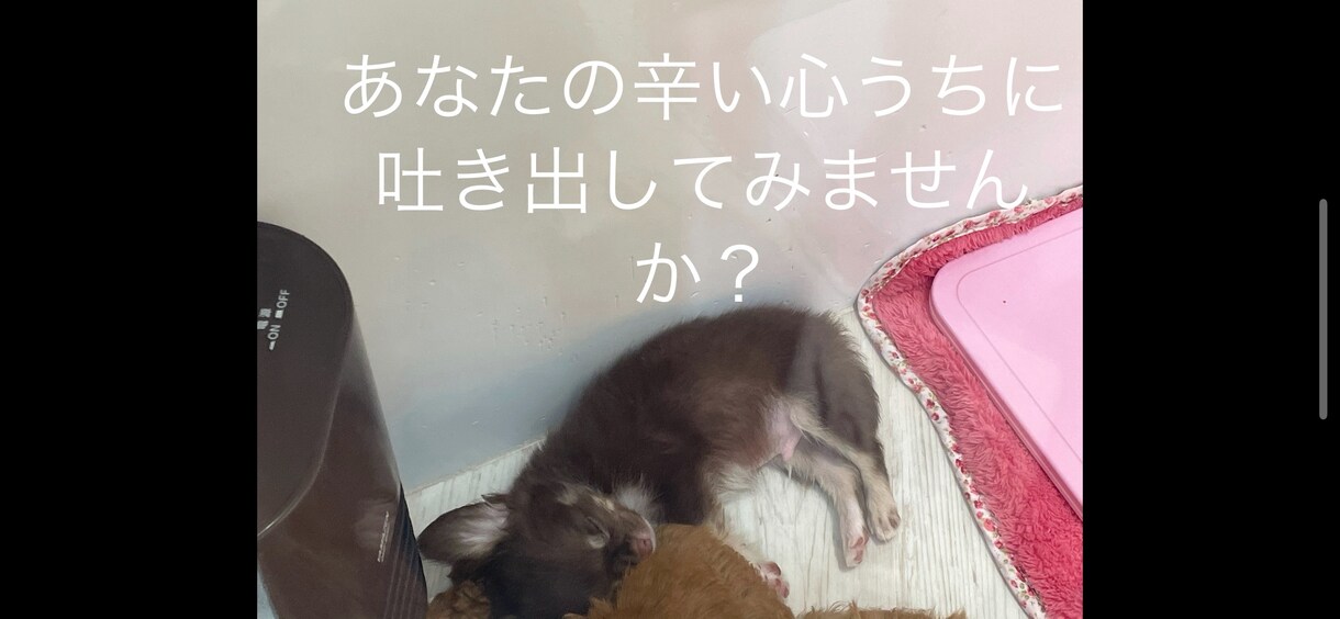 恋愛中の話なんでも聞きます 辛い心内吐き出して新たな自分自身を見つけだそう！ イメージ1