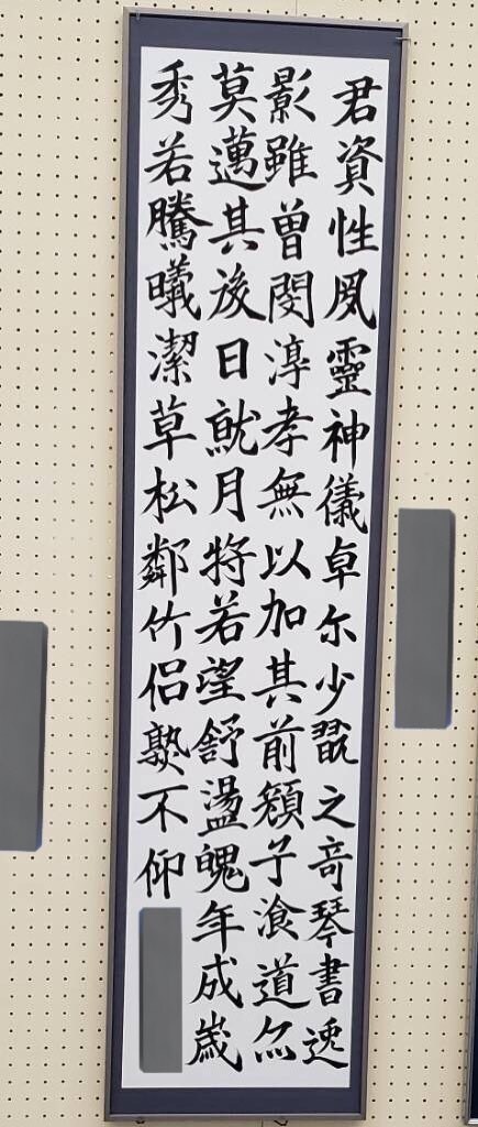 美文字の代筆、添削をします 全国8位の賞を頂きました！硬筆毛筆十段持ってます！ イメージ1