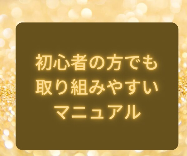初心者の方でも結果が出せるプロの収益法伝授します 副業初心者からいきなり頂点に登りつめましょう イメージ4