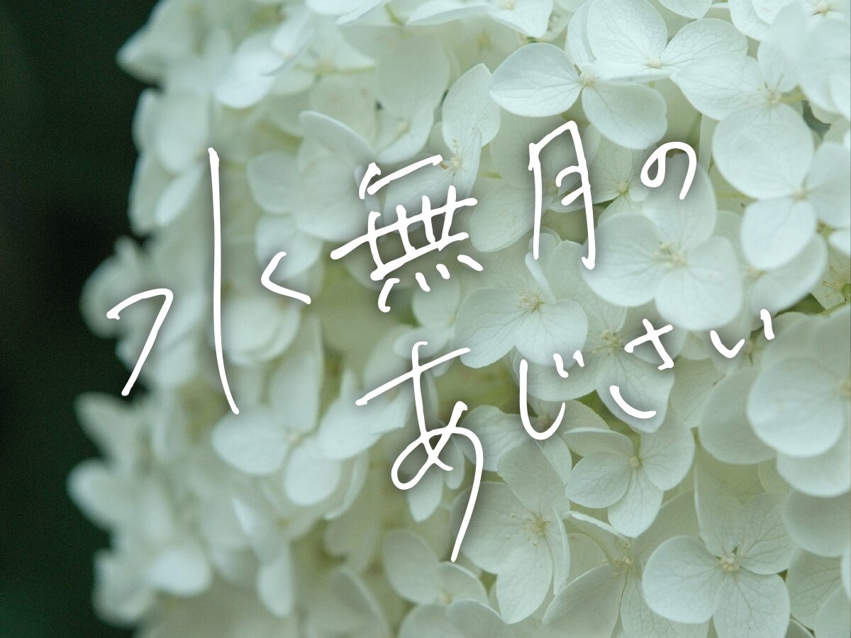 デザイナーが手書き文字データを作成いたします 広告使用実績あり。用途に合わせて丁寧にバランス調整します。 イメージ3