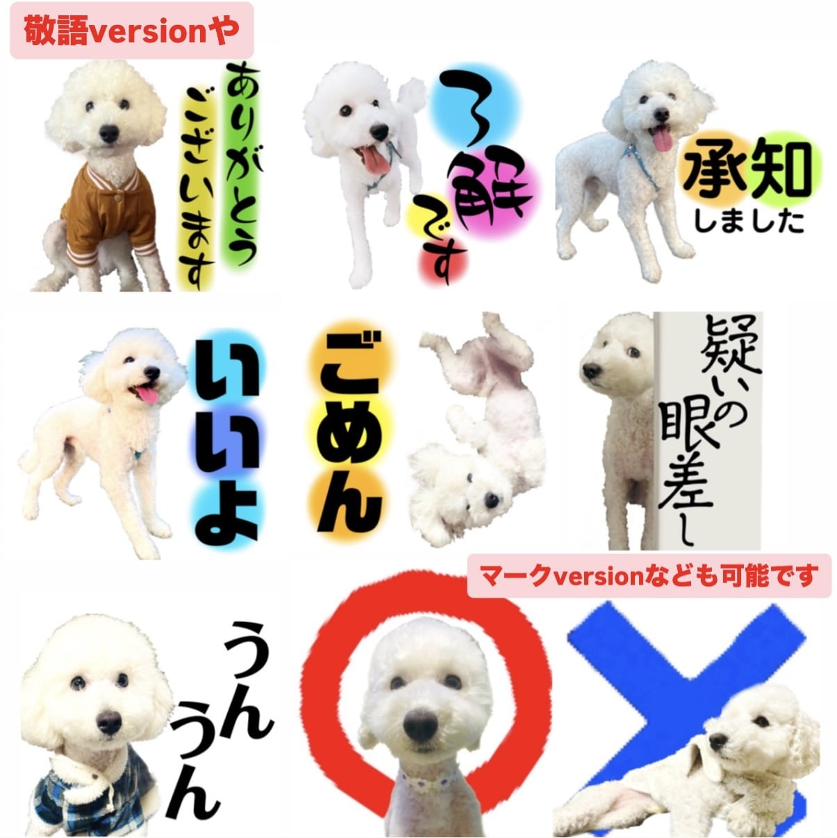 可愛いペットの写真をLINEスタンプにします 可愛いペットの写真を使って可愛いLINEスタンプにします♪ イメージ2
