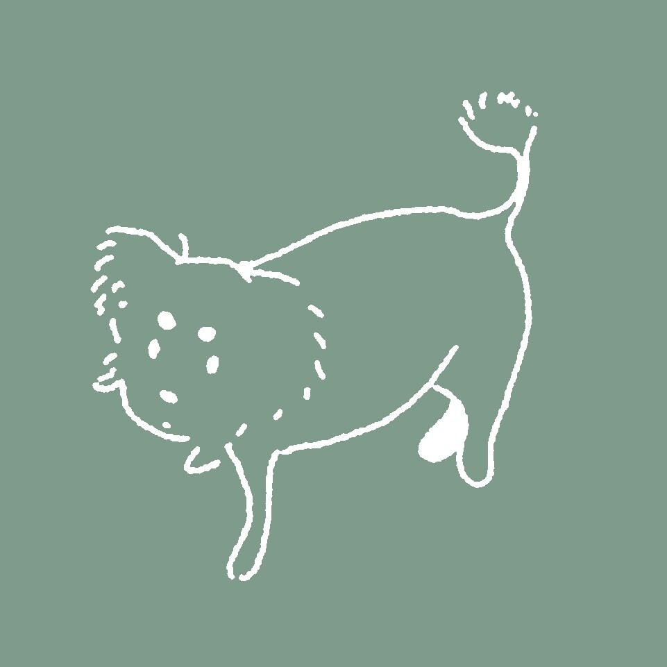 小動物・鳥類・爬虫類・魚類・昆虫等なんでも描きます まとめてご注文頂くととってもお安く承ります！ イメージ3