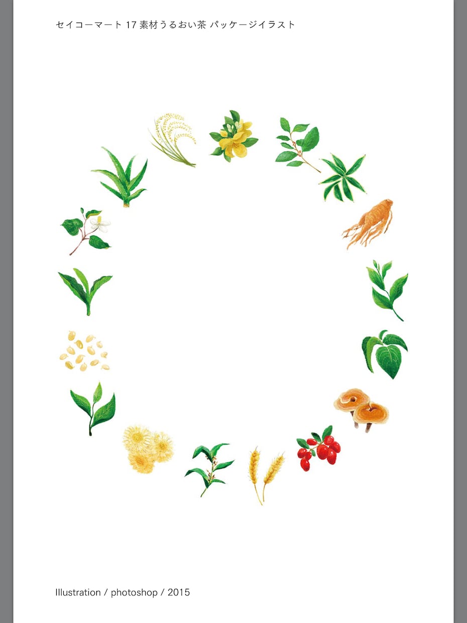 植物や野菜のカットイラスト描きます 素材イラスト、1カットからお受けします。（リアル） イメージ1