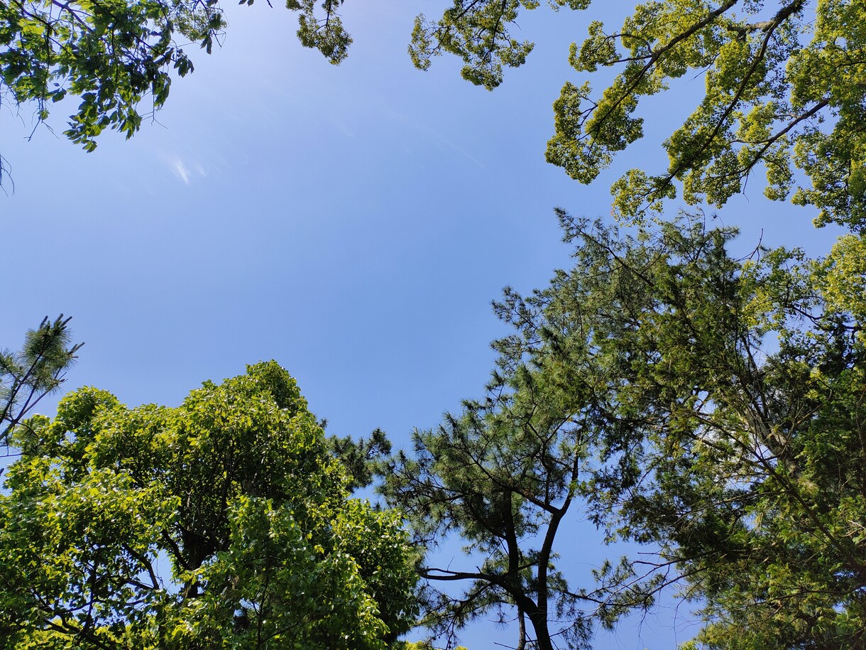 何をどうしたら良いか分からない時に話を聞きます 一緒に考えることで目的を明確にし、解決に導きます! イメージ1