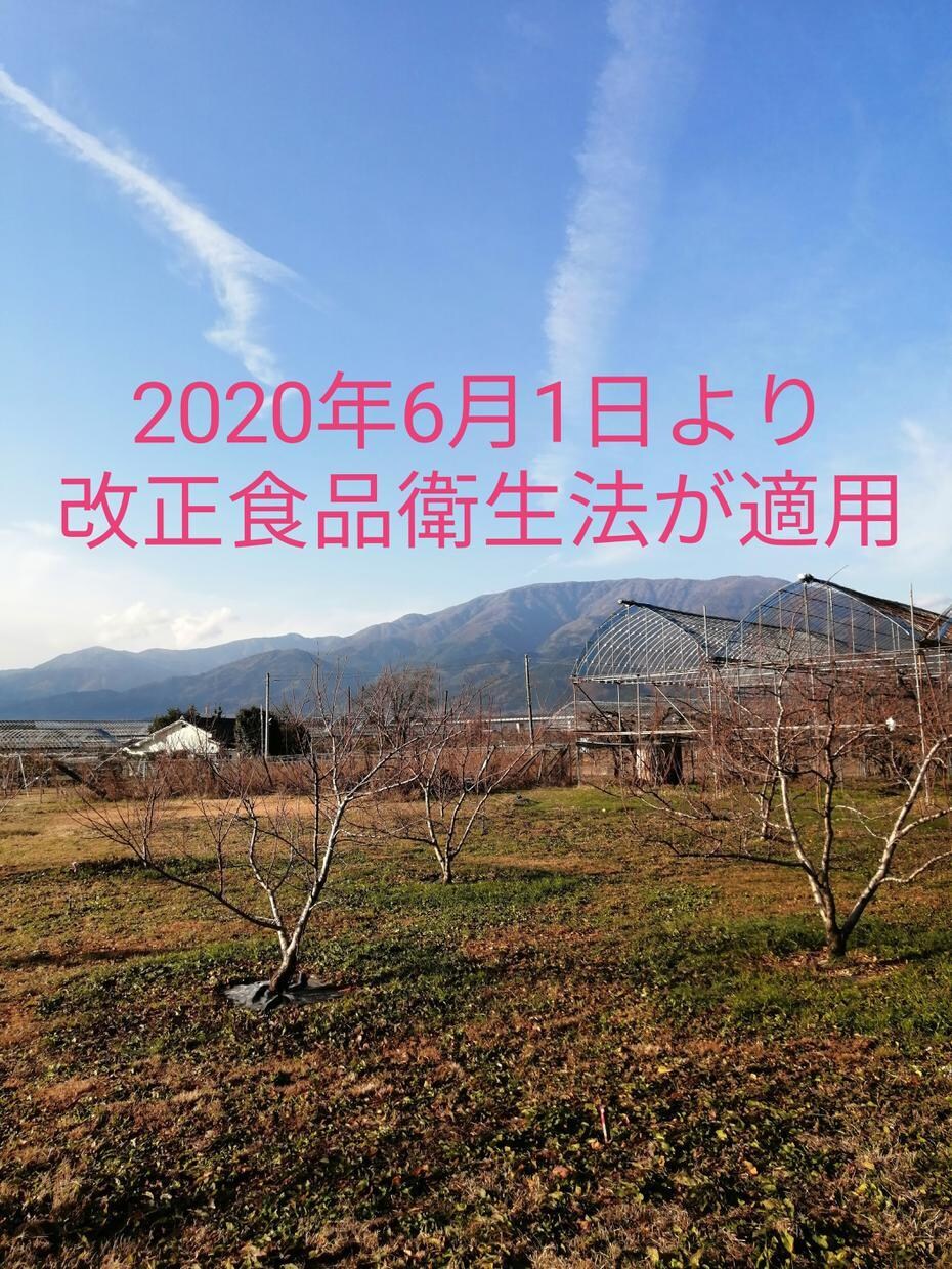 HACCP(飲食店用)作成マニュアル提供致します DIY【自作支援】 haccp考え方 手引書(飲食店用) イメージ2