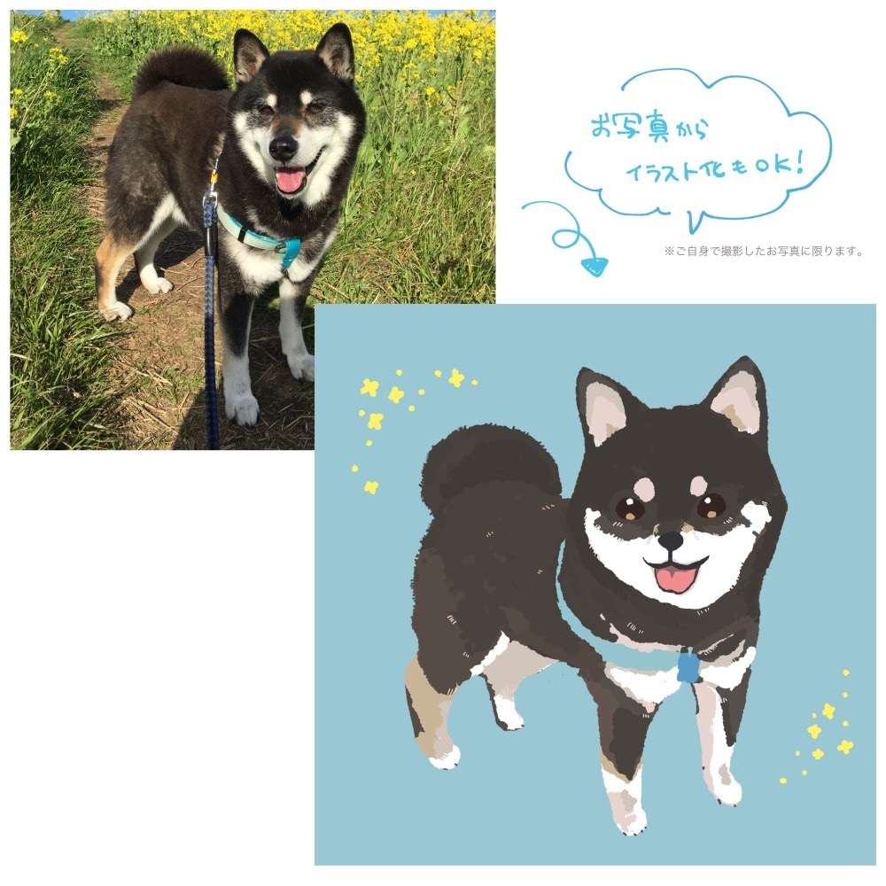 写真からもOK！あなたのペットのイラスト描きます アイコン等に！ふわふわ可愛いデフォルメタッチでお描きします イメージ2