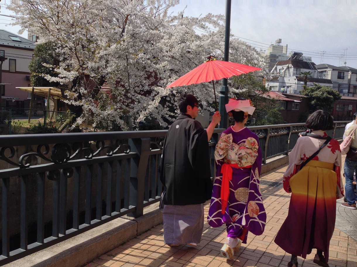 今更人に聞きにくい着物の疑問解決します 着物、着付け、和装に関するご相談、まるっと解決！ イメージ4