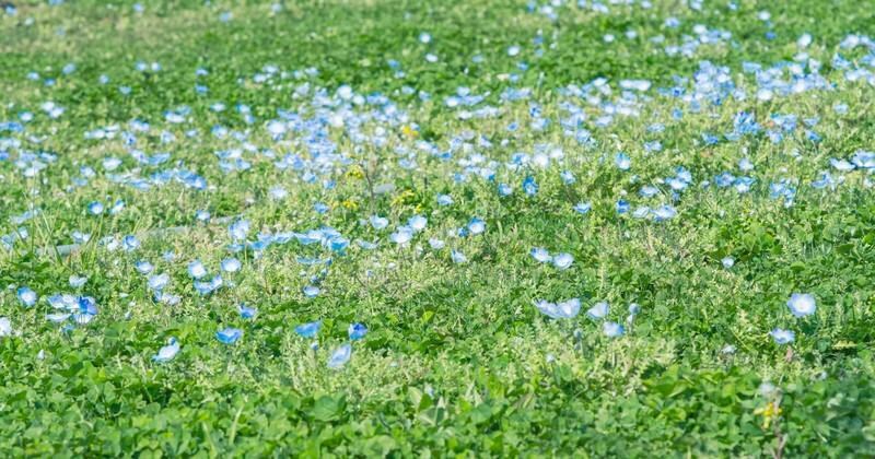 転職歴5回！お仕事のお悩みお聞きします お仕事でのお悩み、人間関係、転職、スキル、お聞きします イメージ9