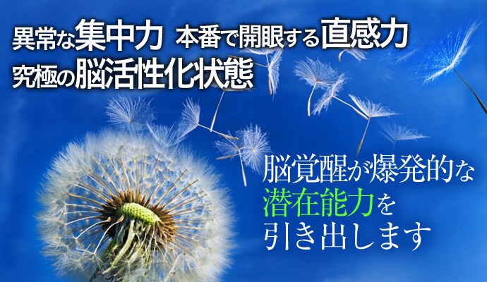 お手持ちのスマホで脳波マシンの作り方伝授します 潜在能力開発、リラックス、快眠してみませんか？ イメージ1
