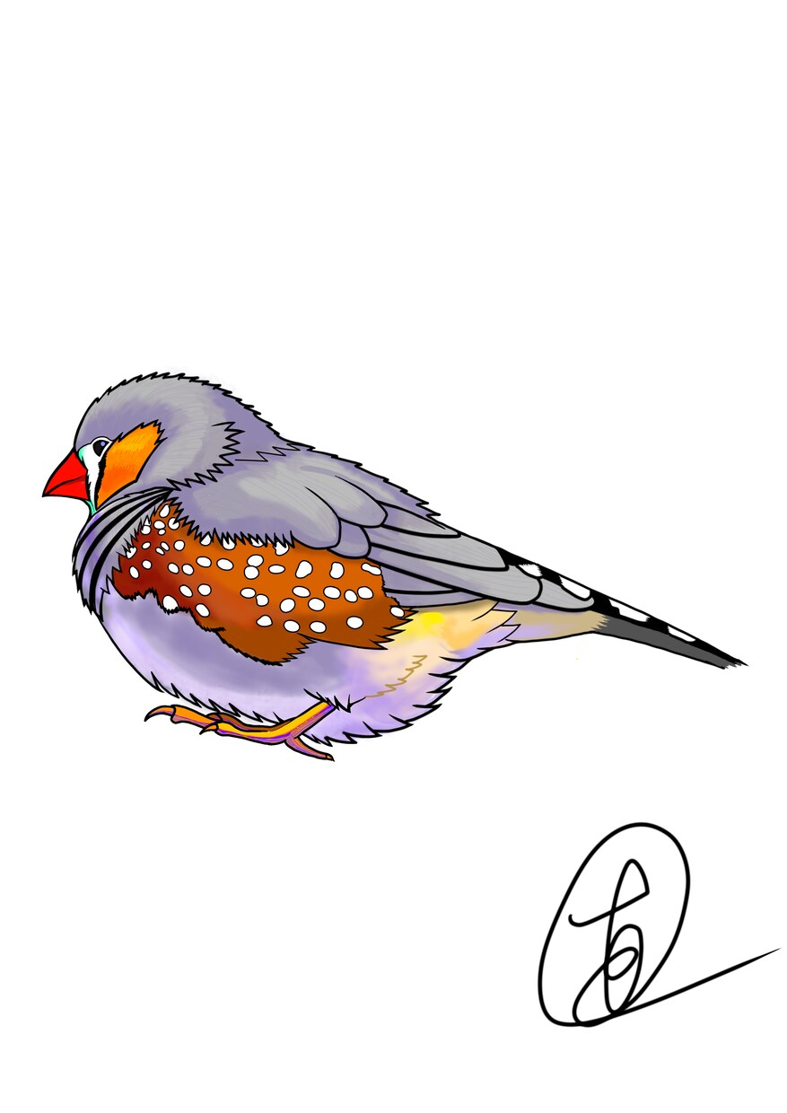 iPadでご希望のオーダーイラストを制作します ご要望に合わせたオリジナルイラストを丁寧に描き上げます イメージ1