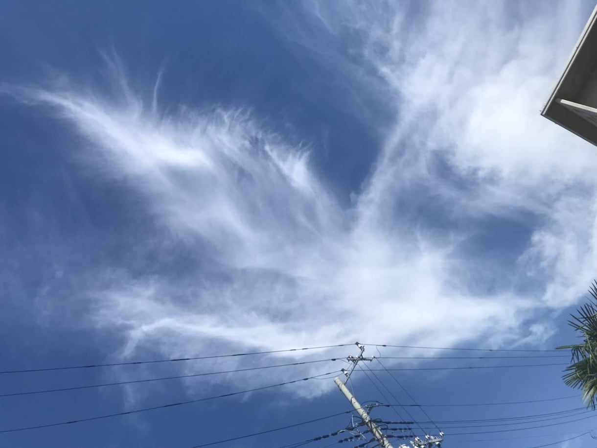 自分との付き合い方講座  自分の本音で生きれます 自分の心の声(本音)を知って心の声と行動を一致させていく イメージ2