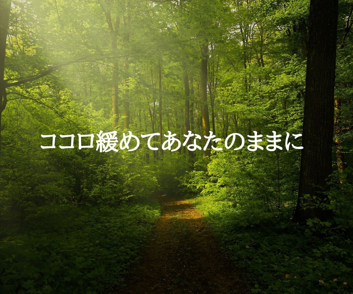 妊活中の不安や思い込みを手放し、未来志向を育てます 妊活メンタル3回コース 〜心を整え、未来へ踏み出す〜 イメージ10