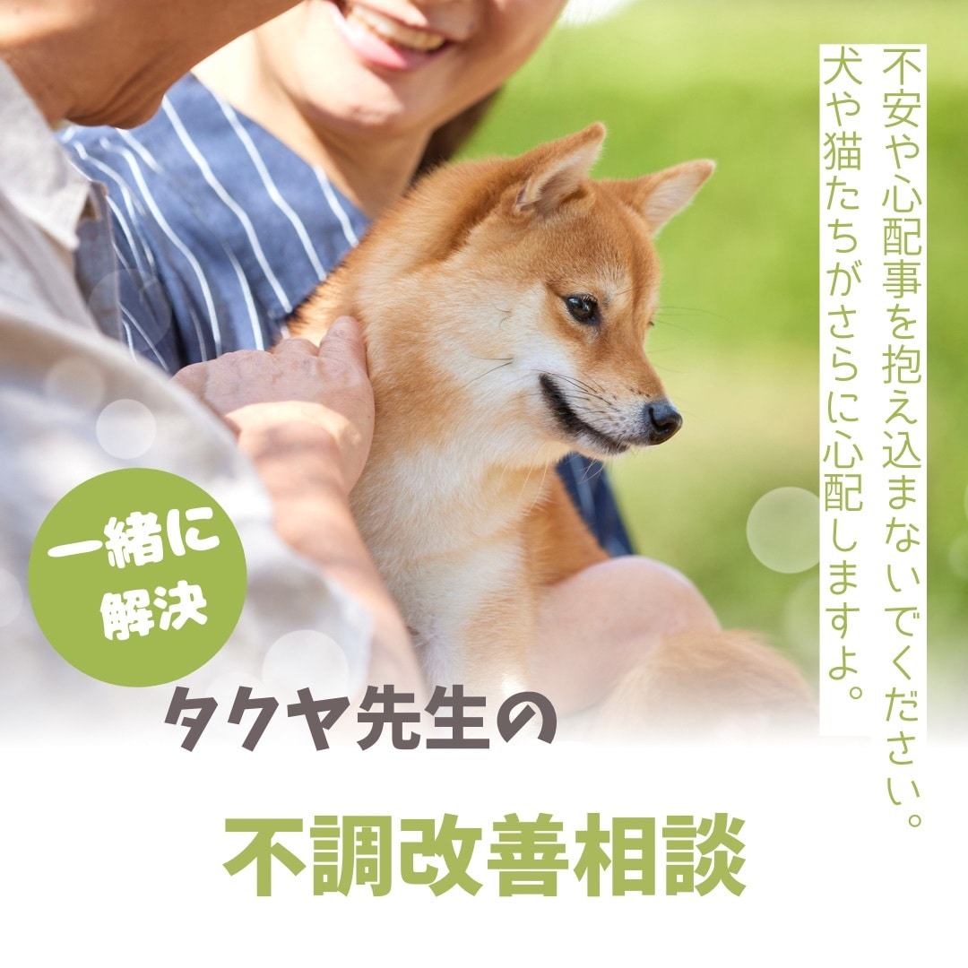 心配、不安、その悩みの解決の糸口を見つけます どうしたらいいのだろうか、その思い、一緒に解決しましょう！ イメージ1