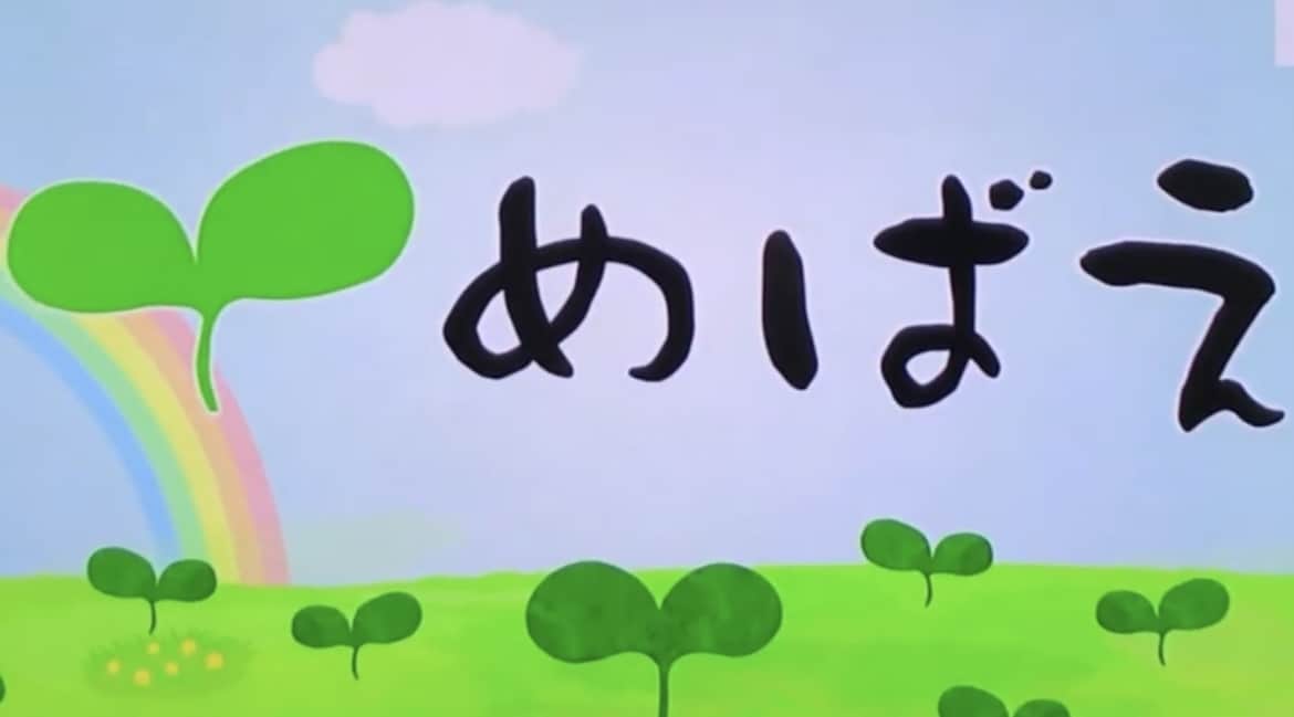 関西でお馴染みの『めばえ』風動画を作ります 本物そっくりに作ります！作成後の修正も何度も受け付けます！ イメージ1