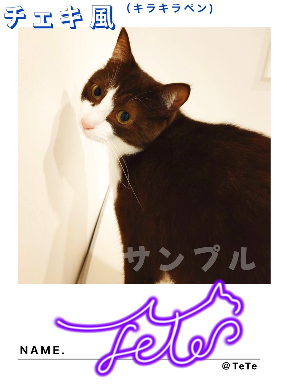 ペットのサイン制作します 〜写真にサイン　ペットの推し活に♫〜爬虫類大歓迎 イメージ3