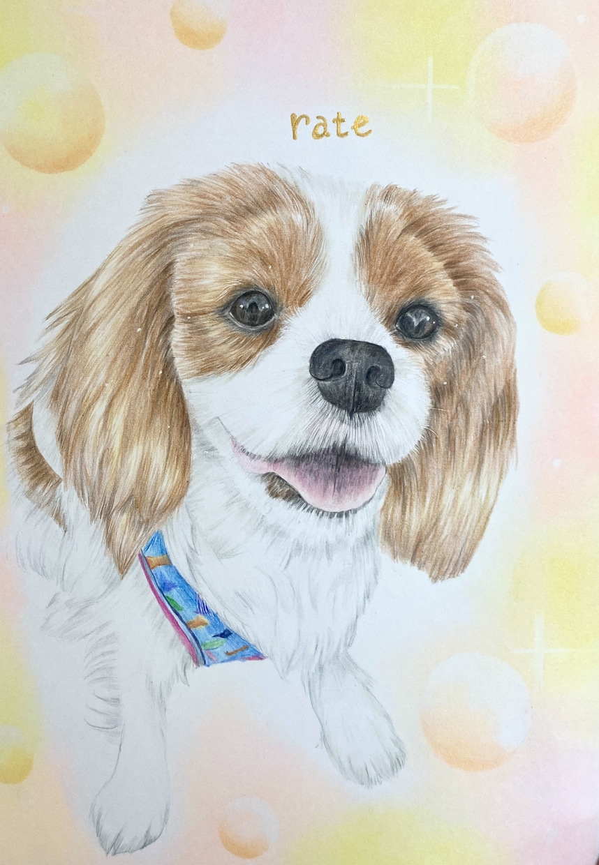 色鉛筆似顔絵肖像画描きます 世界に１つだけの愛犬、愛猫の似顔絵を原画でお渡します。 イメージ6