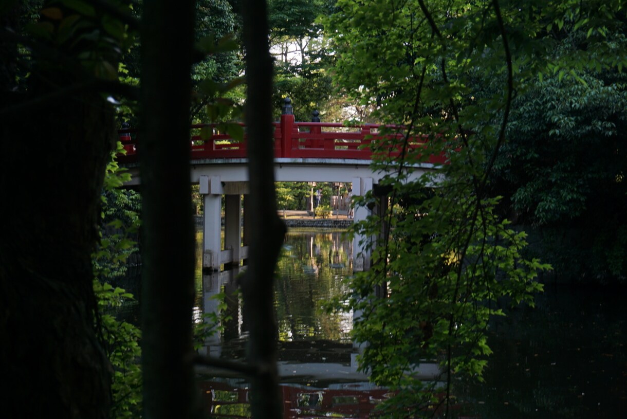 出張写真撮影・写真撮影・レタッチ等代行いたします SONY a7C レンズ SIGMA50mm単焦点1.8 イメージ1